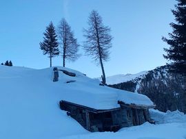 Hütte auf Lichtung