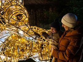 Frau mit Reh, Lichter