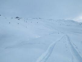 Spuren in verschneiten Hängen Gilfert