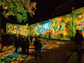 Mit Lichtinstallation bespielte Mauerfassade mit Baum in Innenhof nachts