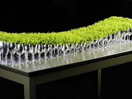 ein Tisch mit vielen, verschieden großen Gläsern aus denen Pflanzen wachsen