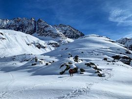 Aufstieg zum Bachfallenkopf mit Aussicht auf Gipfel