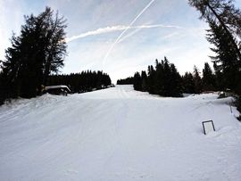 Berglandschaft am Sattelberg und Wald