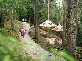 Wanderweg im Wald 