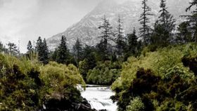 Landschaft mit einem Fluss und Wald