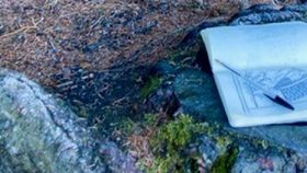 Zeichnen im Wald Teaser