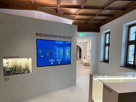 Ausstellungsraum_Ausstellung Artenvielfalt_Weiherburg