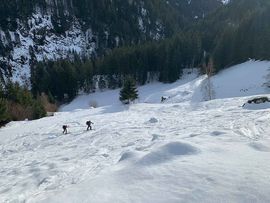 Winterlandschaft Schnee Steinberg