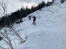 Steig durch den Wald