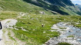 Zwei Mountainbiker in Berglandschaft
