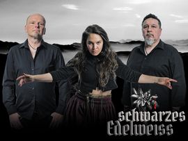 Drei Mitglieder der Musikgruppe Schwarzes Edelweiss posieren vor einer düsteren Berglandschaft. Die Musiker tragen schwarze Kleidung und blicken ernst in die Kamera.