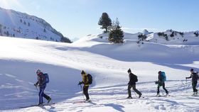 Skitourencamps - Achensee Tourismus