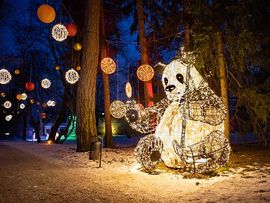 Lichterpark mit Panda