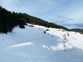 Schneelandschaft Steinberg