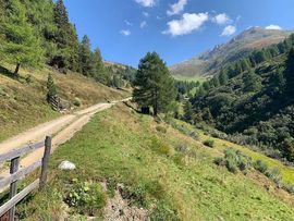 Waldgrenze unterhalb Pfoner Kreuzjöchl