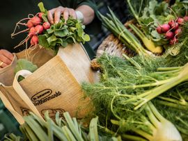 Korb mit Radieschen und Lauchzwiebeln