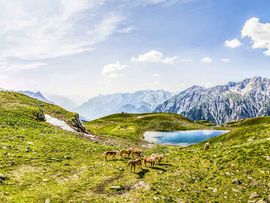Kaltenberghütte