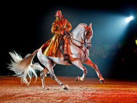 Ein Reiter auf einem weißen Pferd