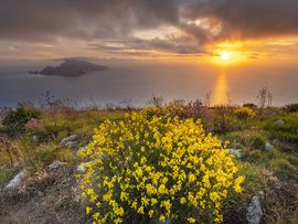Martin Engelmann "Auf der Suche nach Italien"