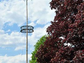Maibaum in Axams
