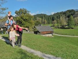 Almabtrieb in Reith im Alpbachtal, Tirol