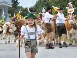 Almabtrieb in Reith im Alpbachtal, Tirol