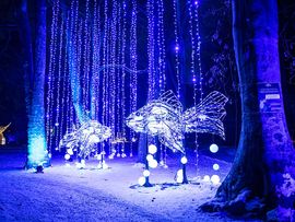 Lichterpark Lumagica