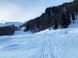 Skitour Hohe Warte Spuren Im Schnee 