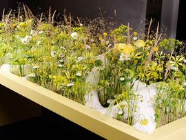 Tisch aus dem eine Menge Blumen wachsen