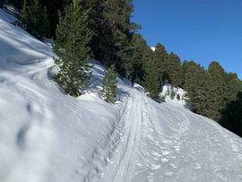 Abzweigung in den Wald