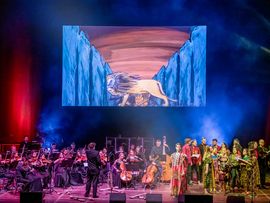 Bühne Musical König der Löwen 