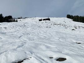 Schneelandschaft auf dem Steinberg