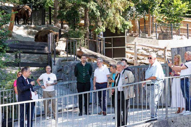 Eröffnung Wildschweingehege Alpenzoo Innsbruck