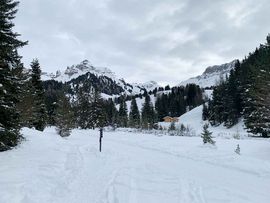 Rodelweg zur Kaserillalm