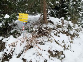 Skitour Gilfert Weg Beschilderung