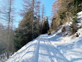 Weg zur Rötenspitze