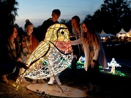 Vogel als Lichtfigur