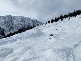 Schneelandschaft am Steinberg