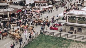 Traditioneller Almabtrieb in Zell und Gerlos