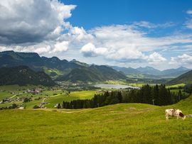 Sommerurlaub mit Bergpanorama und Bergsee in der Ferienregion Kaiserwinkl in Tirol - freizeit-tirol.at