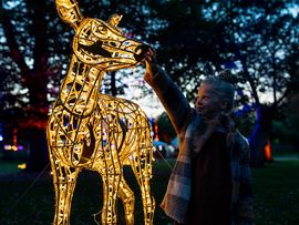 Reh als Lichtfigur