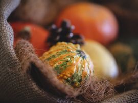 Bunter Zierkürbis in einer rustikalen Herbstdekoration aus Naturmaterialien.